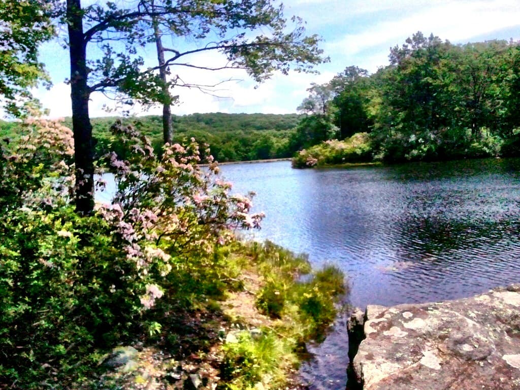Rockland County landscape