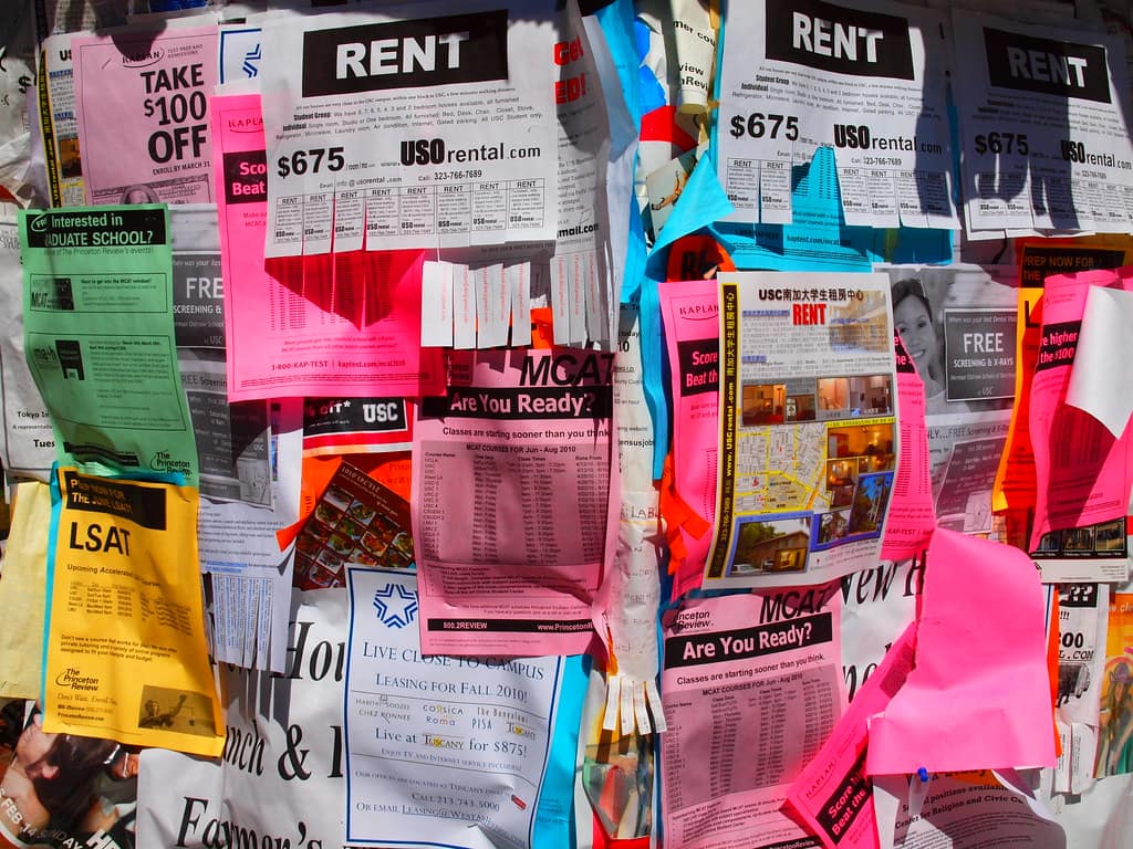 A kiosk covered edge to edge in overlapping paper flyers in hot pink, magenta, bright blue, yellow, green, orange and white, several curling away from the surface, several carrying rows of tear off tabs, with fragments of wording legible across them including GRADUATE SCHOOL, LSAT, MCAT, Are You Ready, FREE SCREENING, RENT and LIVE CLOSE TO CAMPUS, and no bare board visible anywhere behind the paper